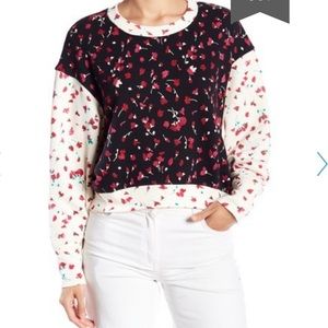 NWT Joie Caleigh Floral Print Cropped Sweater